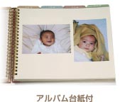 アルバム台紙付