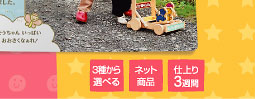 3種類から選べる／ネット商品／仕上がり：3週間